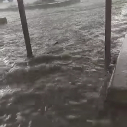 Катуу жааган жаандан улам Таласта короолорду суу каптады