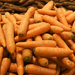 Жуулган сабиздин кандай зыяны бар?