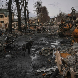 Украина Орусияга 