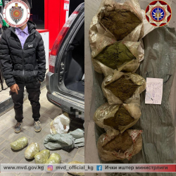 ВИДЕО - Токтогул районунда 5 кг ашуун нашаа саткандар кармалды