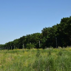 Частникам и компаниям разрешат арендовать земли, находящиеся в госсобственности