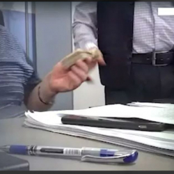 ГКНБ задержал главу Джалал-Абадского управления Госветинспекции