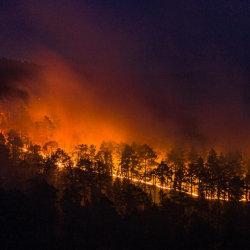 ВИДЕО - Орусиянын Сибирь аймагында токойду өрт каптады