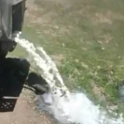 Почему фермеры вынуждены сливать молоко в реку? Ответ представителя молокозавода