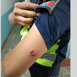 Мас абалда инспектордун колун тиштеген келин кармалды