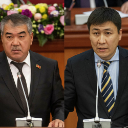 Депутат министрден өзүнүн жардамчысын лицейдин директору кылып дайындоону суранган