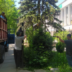 СҮРӨТ - Тосмолор алынууда