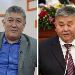 Президенттин кеңешчиси депутаттан кечирим сурады