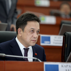 Аалы Карашев өкмөт башчы болуу амбициясынан тайып калыптыр