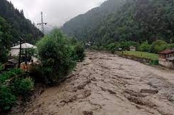 Түштүктө 400 баш кой сел алдында өлгөн. Ким күнөөлүү: жаныбарларбы же ӨКМдин кызматкерлериби?