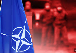 В Китае заявили о расколе внутри НАТО