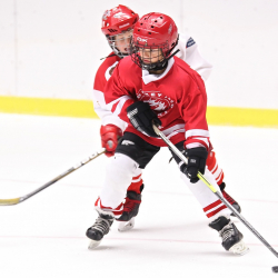 ВИДЕО - Нападение 10-летнего российского хоккеиста на судей попало на видео