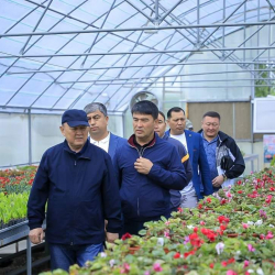 Гүл өстүргөндү билбесек жакын арада жакшы жашоону кыялданбагыла