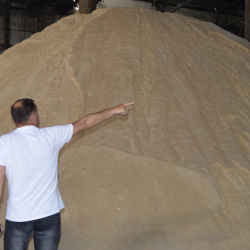 Производство сахара на «Каинды-Канте» возобновлено