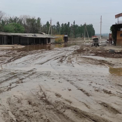 Кара-Кулжада сел жүрүп, 25 турак үйдүн короосун суу каптады