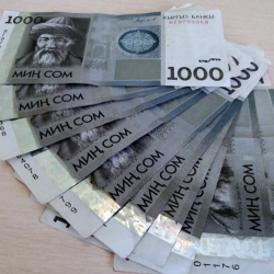 Евразийский банк развития объяснил повышение волатильности курса сома