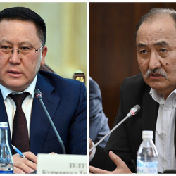 Чынара Мамажакыпова: «Зулушев менен Бейшеналиевдин ортосунда келишпестиктер бар болчу»