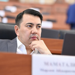 Марлен Маматалиев: «Бейшеналиевдин камалышын өч алуу дегендер да болду»