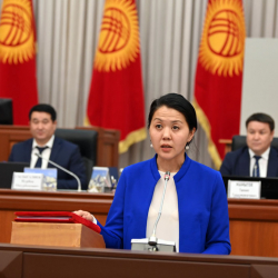 Атыр Абдрахматова: «Биздин аткарган ишибиздин кереги жоктой болуп жатат»
