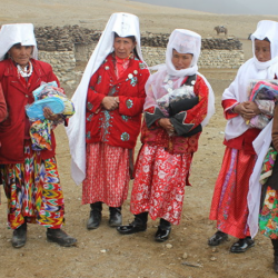 Жакында Чоң-Алайга памирлик кыргыздардын келиши күтүлүүдө