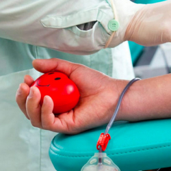 Бүгүн Бүткүл дүйнөлүк кан донорунун күнү