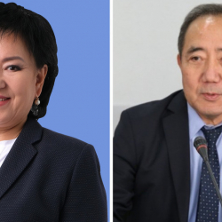 Депутат: Министр Базарбаевдин комитетке келбегени бул - элден качканы