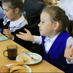 2023-жылы бир окуучунун ысык тамагына 20 сом бөлүү пландалууда