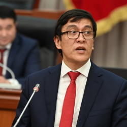 Эдил Байсалов депутаттарга: «Биз туткун, силер «гестапонун офицерлери» эмесиңер»