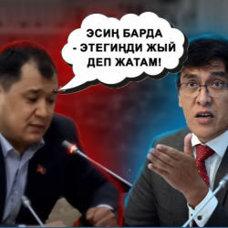 ВИДЕО - Депутат Бакасов Байсаловго: Эсиң барда - этегиңди жый деп жатам!