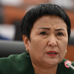 Депутат: Эми 