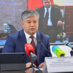 В Кыргызстане предлагают выдавать «золотой паспорт» крупным инвесторам