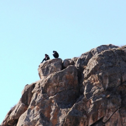 Сулайман-Тоодон секирем деп... Ошто суициддин алдын алышты