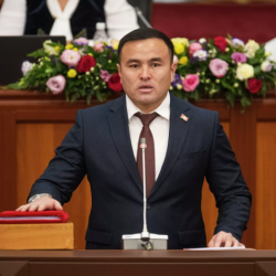 Алишер Козуев: «Айыл чарба министри кызматын тапшырсын»