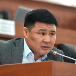 Депутат: Пандемияда дары саткандар элдин тагдыры менен ойногон