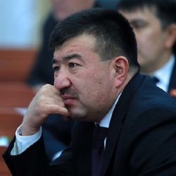 Депутат: Парламент эс алууга 15-июлдан баштап чыкса жакшы болмок