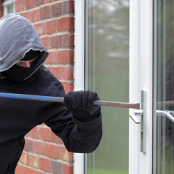 Чыгым дээрлик миллион сом. Жалал-Абадда батир уурулары кармалды