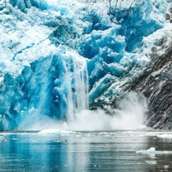 Пандемияга алып келиши мүмкүн. Мөңгүлөрдөн байыркы 968 микроб табылды