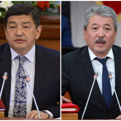 Аскер Сакыбаева: «Кыргызстанда Жапаров менен Касымалиевден башка өкмөттө иштей алчу киши жокпу?»