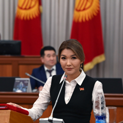 Депутат Айгүл Айдаровага: Болгон мүлкүмдү сатып, сага машина, үй алып берсем, мага сүйүүңдү арнайсыңбы?