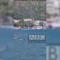 ВИДЕО - В Турции акула заплыла в залив у Мармариса. Отдыхающие отбивались от нее шваброй