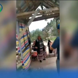 ВИДЕО - Өзбек жарандары Арстанбап токоюна киргендерден акча алып жатат