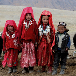 Кудайберген Базарбаев: В Чон-Алайском районе выделено 70 гектаров для этнических кыргызов из Афганистана