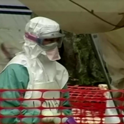 Кезектеги оору. Марбург вирусу жайыла баштады