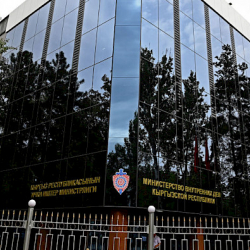 ИИМ жетекчилиги Токмоктогу зордуктоо фактынын тергелишин көзөмөлгө алды