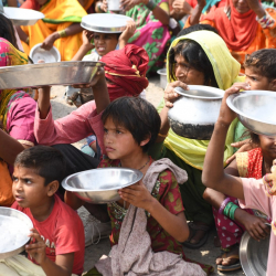 Мир может охватить массовый голод – ООН
