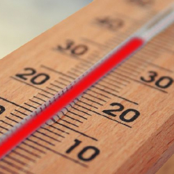 Өзбекстандагы эки аймак планетадагы эң ысык жерлердин ондугуна кирди