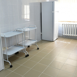 Август айында клиникалардын кара тизмеси жарыяланаары убадаланды