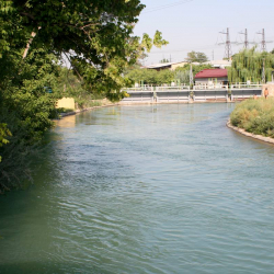 Он сегиз жаштагы кыз каналга агып каза болду