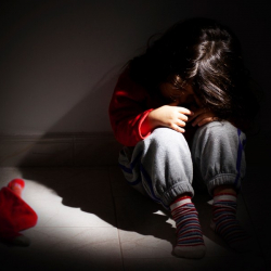 Как государство защищает детей и женщин?