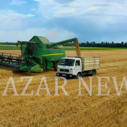 Түркия Украинадан данды экспорттоо үчүн координациялык борбор ачты